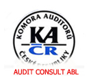 AUDIT CONSULT ABL img